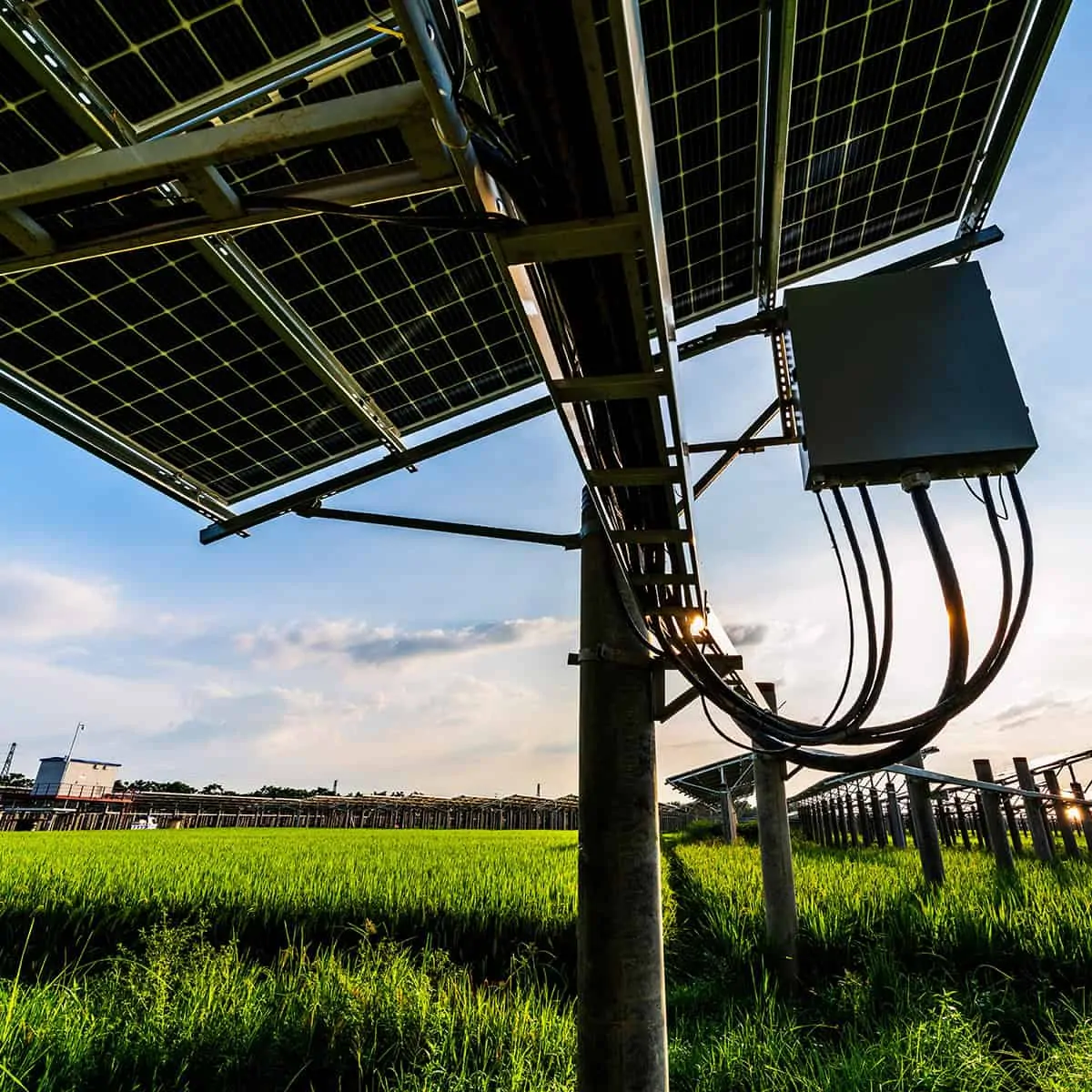 Fortschrittliche Solartracker für maximalen Energieertrag Fortschrittliche Solartracker für maximalen Energieertrag